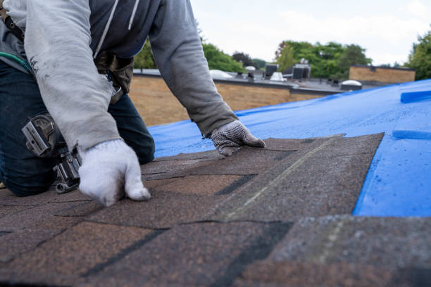 Best Commercial Roof Installation  in Pagedale, MO
