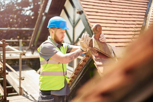 Best Storm Damage Roof Repair  in Pagedale, MO